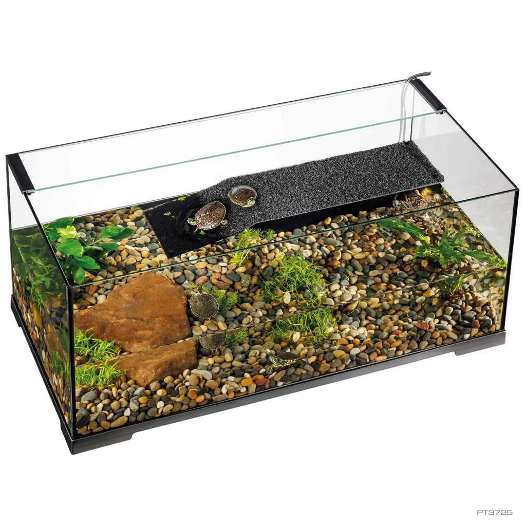 Terrarium für Wasserschildkröten